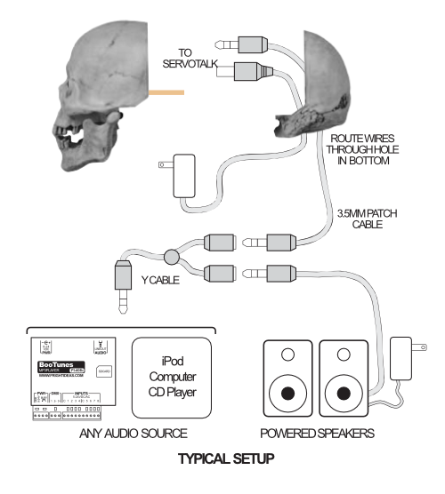 y-cable-setup.png