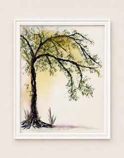 Tranquility Trail