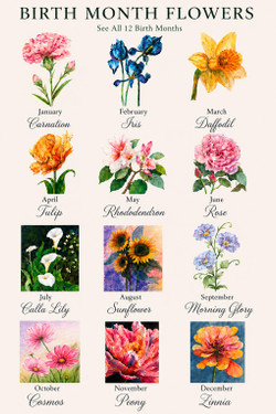 October Cosmos Birth Flower Watercolor Print – Precious Pleasure