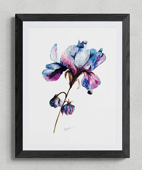 Meditative Warmth  Low Price Print Offer
