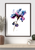 February Iris Watercolor Print – Meditative Warmth