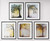 Set of 5 TranquilityCollection Low Price Print Offer