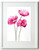 Enchanted Pleaser Low Price Print Offer