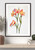 Fresh Embrace Low Price Print Offer