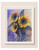 Fresh Approach  Low Price Print Offer