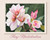 May Rhododendron Birth Flower Print – Precious Best Friend