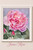 June - Princess Charlene Rose
