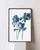 February Iris Watercolor Print – Graceful Elegance