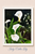 July Calla Lily Watercolor Print – Fresh Hope