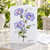 Morning Glory Watercolor Greeting Card – 5x7 Floral Card