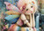 Poppy Daydream
