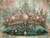 The Lotus Crown