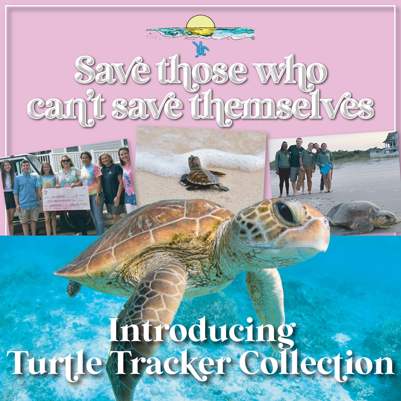 Turtle Collection