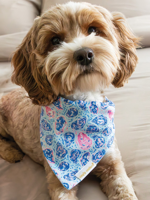 0125-PET-BANDANA-OYSTR