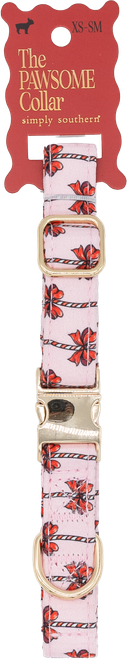 0226-PET-COLLAR-SM-HOL