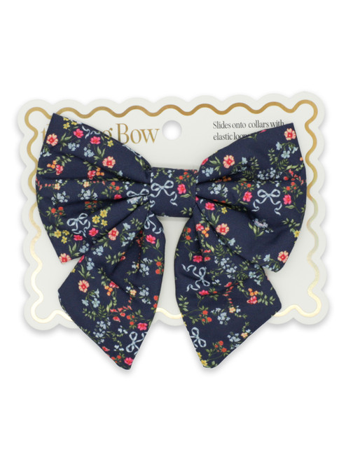 0226-PET-BOW-RBNFLR