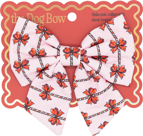0226-PET-BOW-HOL