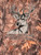 MN-SS-DEER-CAMO