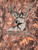 MN-SS-DEER-CAMO