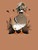 MN-LS-COOLDUCK-CHSTNT