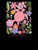 LS-TRACKT8-DREAM-BLK