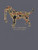MN-MINWASH-DOGCAMO-GRPHT