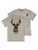 MN-MINWASH-DEER-BRCH