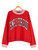 0226-S4G-PULL-REDWHT