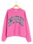 0226-S4G-PULL-PNKNVY