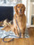 0226-PET-LEASH-NVY