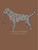 MN-SS-MUDDOG-RODEO