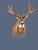 MN-MINWASH-DEER-OVRCST