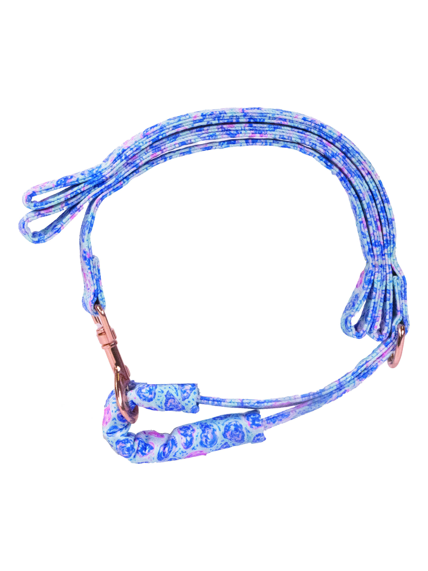 0125-PET-LEASH-OYSTR