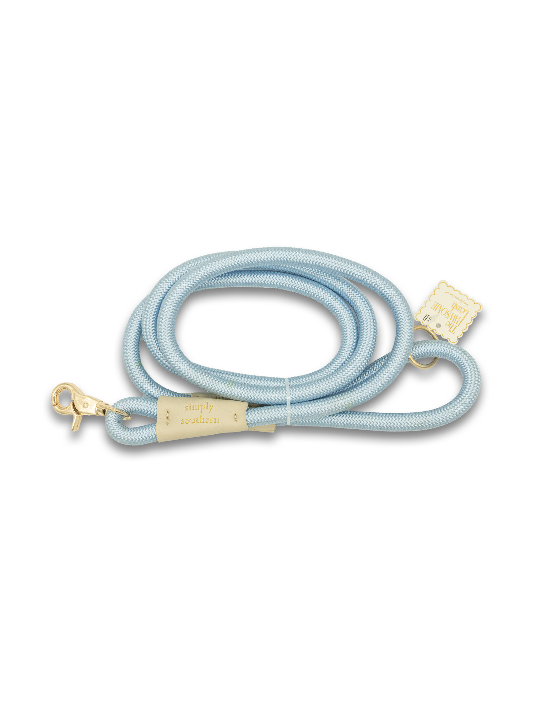 0126-PET-LEASH-TURQUOISE