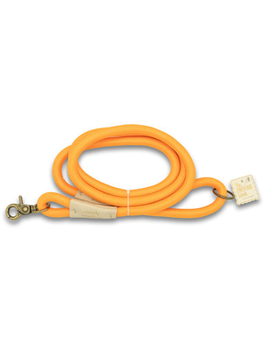 0126-PET-LEASH-ORANGE - Simply Southern