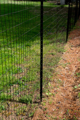 6ft x 50ft Welded Wire-14ga. galvanized steel core; 12ga after Black PVC- Coating, 2in x 4in Mesh - Trident Fence