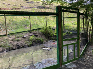 5ft x 100ft Welded Wire-16ga. galvanized steel core; 14ga after Black PVC-Coating, 1in x 1in Mesh