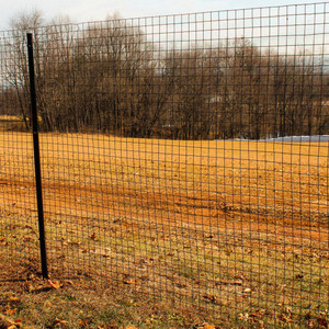 8ft x 100ft Welded Wire Fence-14ga. galvanized steel core; 12ga after Black PVC-Coating, 2in x 2in Mesh