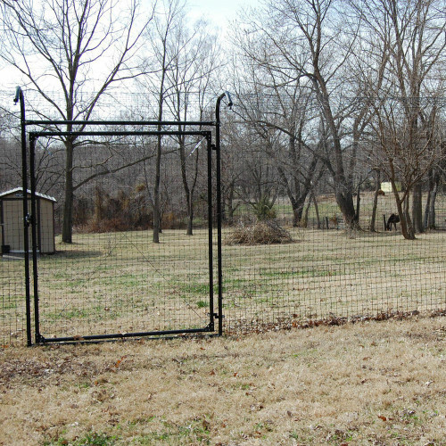 Catios/Outdoor Cat Enclosures