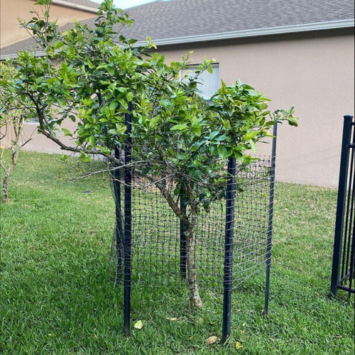 Tree Protection Kits