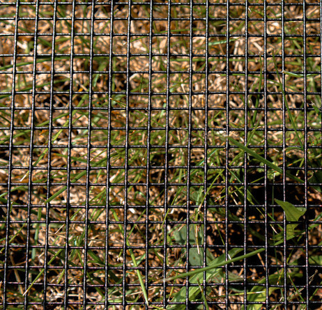 5ft x 100ft 19ga. Galvanized Steel Black PVC Coated Hardware Cloth 0.5in x 0.5in Mesh