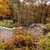 Steel hex and fall foliage