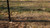 4ft x 150ft Steel Hex Web Blk PVC Coated Fence