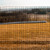 4ft x 100ft Welded Wire-16ga. galvanized steel core; 14ga after Black PVC-Coating, 2in x 2in Mesh