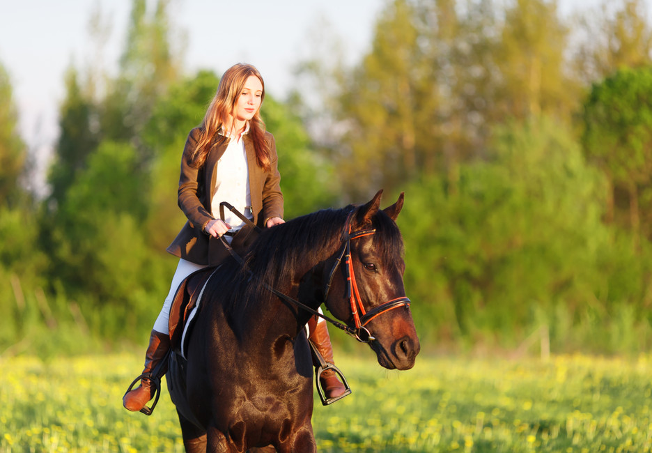 Long Winter Break? Reconditioning Your Horse for Warmer Weather