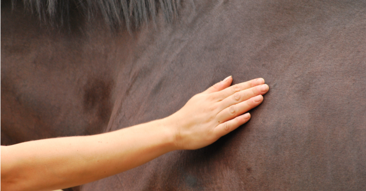 5 Reasons To Try Sore No-More