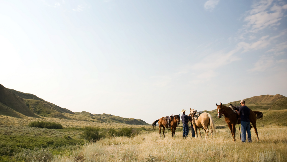 Camping with your horse.  Are you ready?