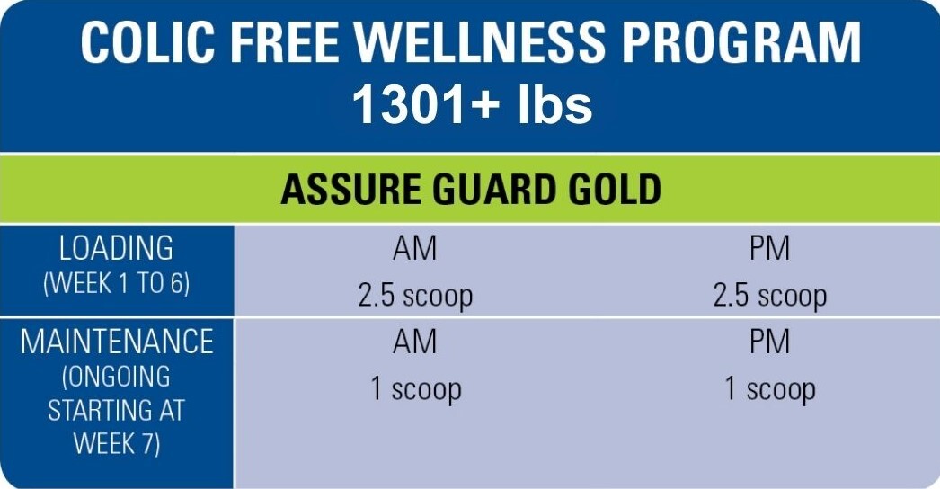 free3-wellness-program-1301