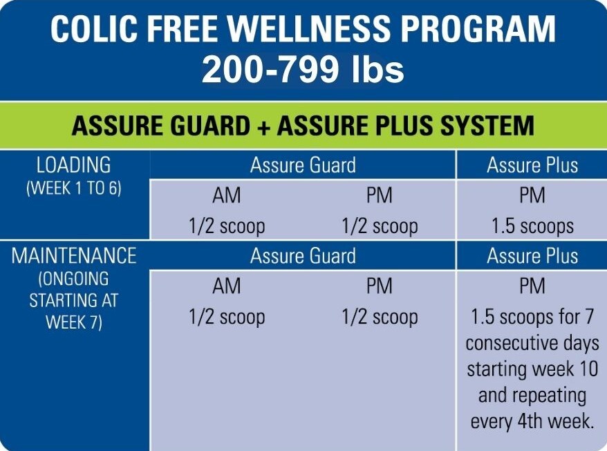 free-wellness-program-200-799