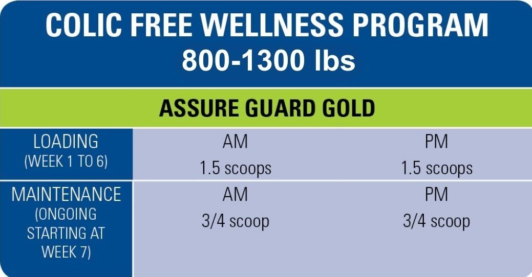 free2-wellness-program-800-1300